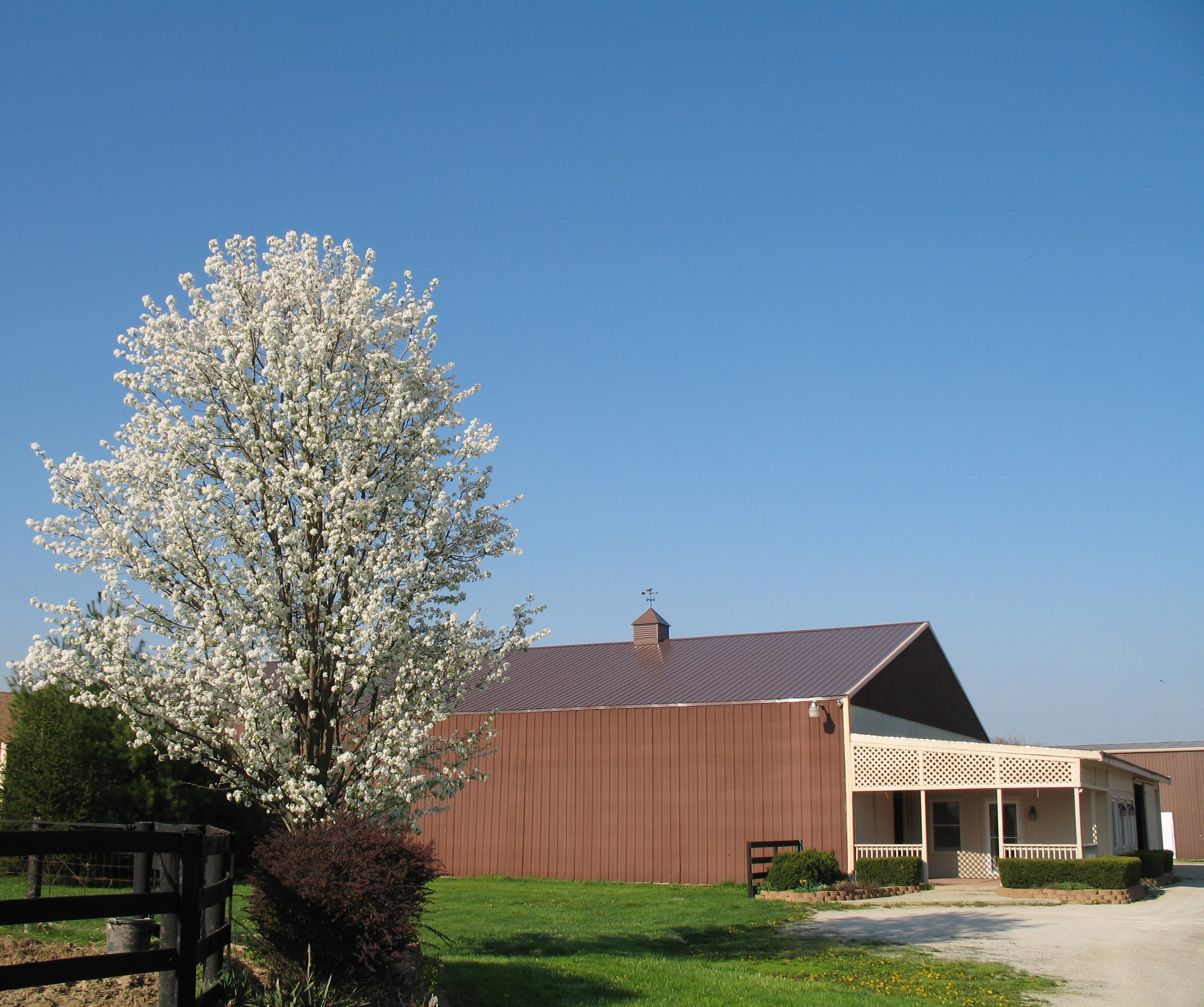 Sutton Performance Horses Facility