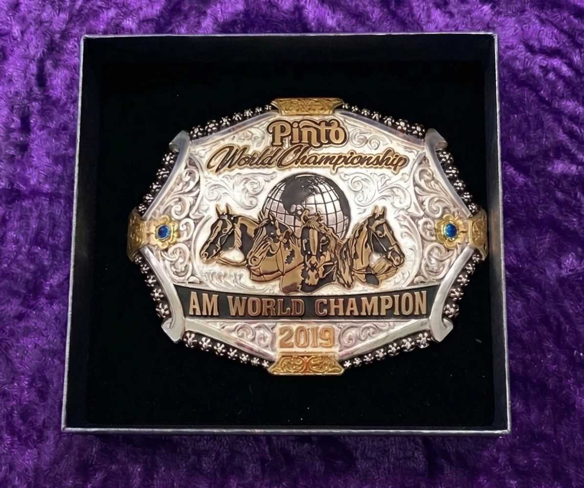 Pinto AM World Champion 2019
